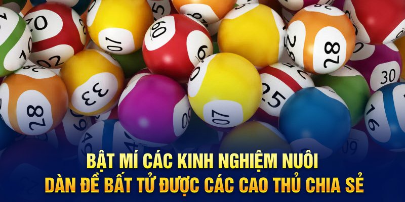 Bật mí các kinh nghiệm nuôi dàn đề bất tử được các cao thủ chia sẻ